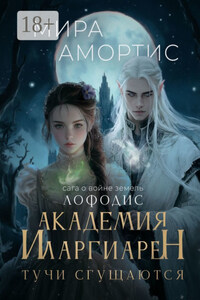 Академия Иларгиарен: Тучи сгущаются