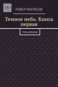 Темное небо. Книга первая. Тень дракона