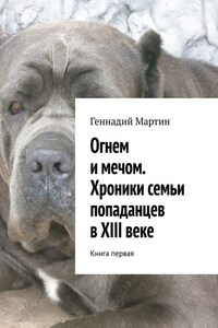 Огнем и мечом. Хроники семьи попаданцев в XIII веке. Книга первая