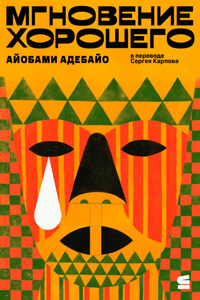 Мгновение хорошего