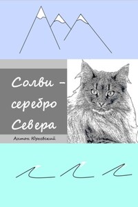 Солви – серебро Севера