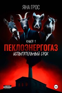 ПеклоЭнергоГаз. Книга 1. Испытательный срок