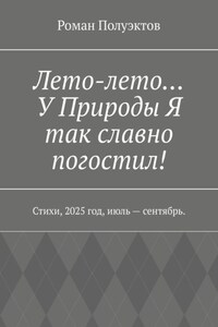 Лето-лето… У Природы Я так славно погостил! Стихи, 2025 год, июль – сентябрь.