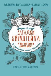 Загадки Эйнштейна. А вы бы съели своего кота? 30 удивительных задач и головоломок
