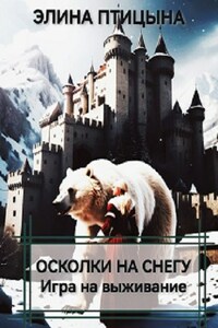 Осколки на снегу. Игра на выживание