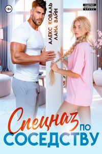 Спецназ по соседству