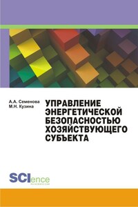 Управление энергетической безопасностью хозяйствующего субъекта. Учебно-методическое пособие