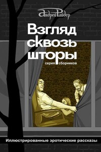 Взгляд сквозь шторы. 100 пикантных историй, которые разбудят ваши фантазии