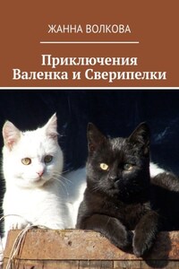 Приключения Валенка и Сверипелки