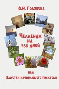 ЧЕЛЛЕНДЖ на 366 ДНЕЙ или Заметки начинающего писателя