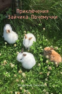 Приключения Зайчика-Почемучки