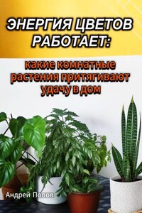 Энергия цветов работает: какие комнатные растения притягивают удачу в дом