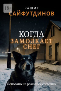 Когда замолкает снег