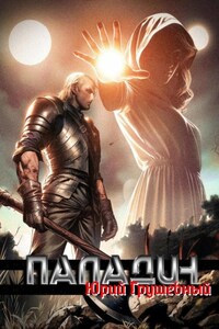 Паладин Безликой. Начало