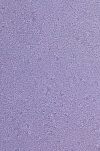 Создай империю или умри. Дно – опора. Ниже ад. Москва поймет