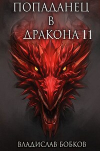 Попаданец в Дракона - 11