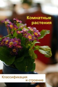 Комнатные растения. Классификация и строение