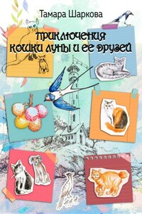 Приключение кошки ЛУны и ее друзей