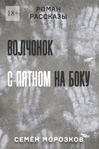 Волчонок с пятном на боку. Роман, рассказы