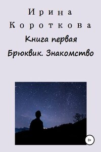 Книга первая. Брюквик. Знакомство