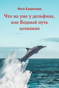 Что на уме у дельфина, или Водный путь познания