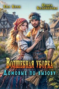 Волшебная уборка. Домовые по вызову