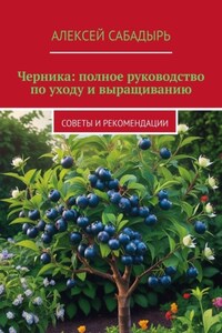 Черника: полное руководство по уходу и выращиванию. Советы и рекомендации