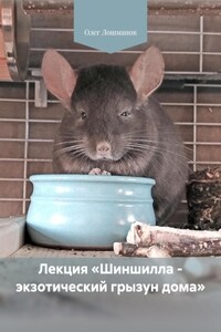 Лекция «Шиншилла – экзотический грызун дома»