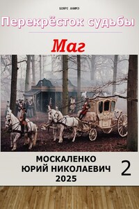Перекрёсток судьбы 2. Маг. Книга вторая