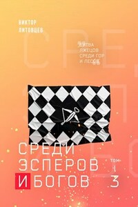 Среди эсперов и богов. Том 3