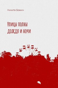 Улицы полны дождя и ночи