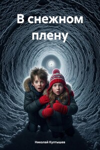 В снежном плену