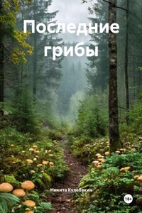 Последние грибы