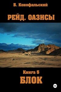 Рейд. Оазисы. Книга 5. Блок