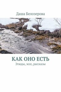 Как оно есть. Этюды, эссе, рассказы