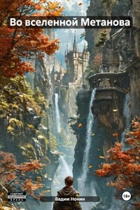 Во вселенной Метанова