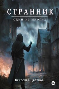 Странник: один из многих