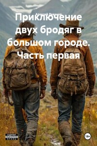 Приключение двух бродяг в большом городе. Часть первая