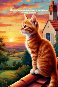 Приключение рыжего котёнка