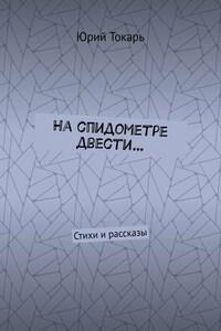 На спидометре двести… Стихи и рассказы