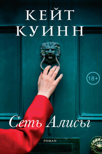 Сеть Алисы