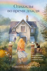 Однажды во время дождя. Одна случайная встреча может изменить жизнь