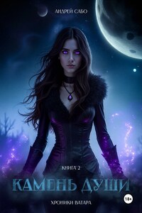 Хроники Ватара. Камень Души. Книга 2