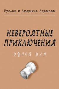 Невероятные приключения одной а/п