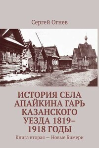 История села Апайкина Гарь Казанского уезда 1819–1918 годы. Книга вторая – Новые Бимери