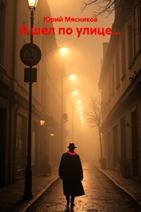 Я шел по улице…