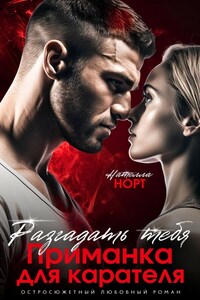 Разгадать тебя. Приманка для Карателя