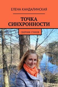 Точка синхронности. Сборник стихов