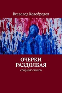 Очерки раздолбая. Сборник стихов