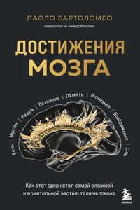 Достижения мозга. Как этот орган стал самой сложной и влиятельной частью тела человека